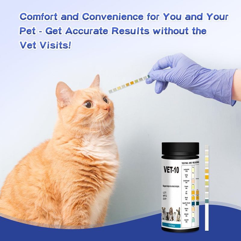10-Parameter Urine Test Strips for Cat & Dog 10 in 1 UTI Test Kit Pets Rapid Diabetes Urinalysis Testing 100 Counts, 1 Pack 1 Count (Pack of 100) - PawsPlanet Australia