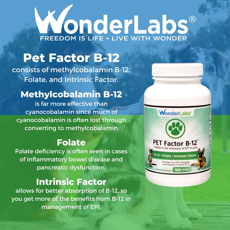 WonderLabs Pet Factor B-12 | Vitamin B-12 in Methylcobalamin Form | Popular in Treatment of EPI in Dogs 180 - PawsPlanet Australia