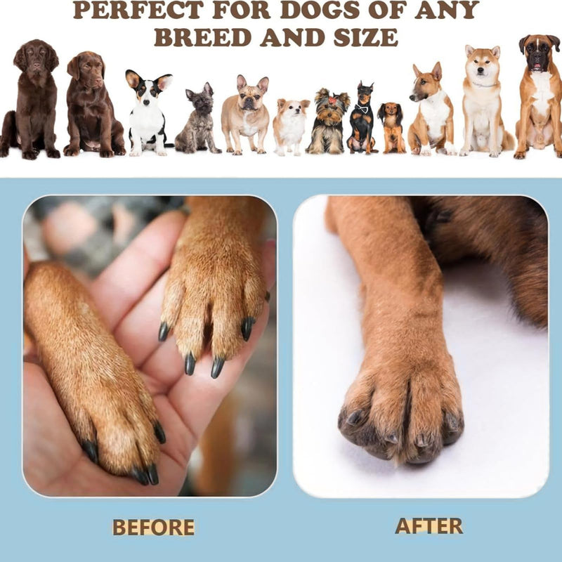 Blue Dog Nail File Scratch Board,3-in-1 Rotatable Pet Scratch Pad for Indoor Dogs,Dog Nail File & Scratch Board for Nails,Interactive Slow Feeder & Grooming To/y for Small Medium Large Dogs 2 - PawsPlanet Australia