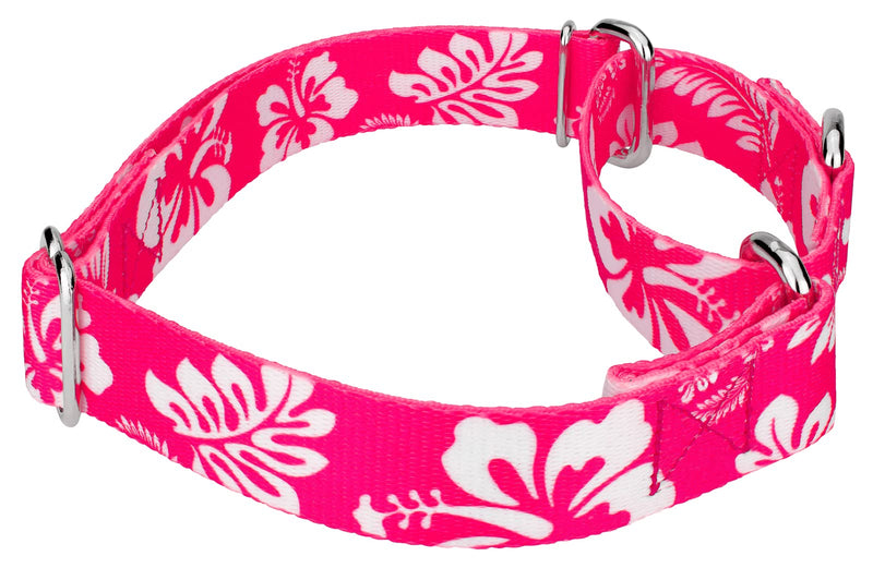 Country Brook Petz - Pink Hawaiian Martingale Dog Collar - Summer Breeze Collection Featuring Sunny Designs (1 Inch, Medium)