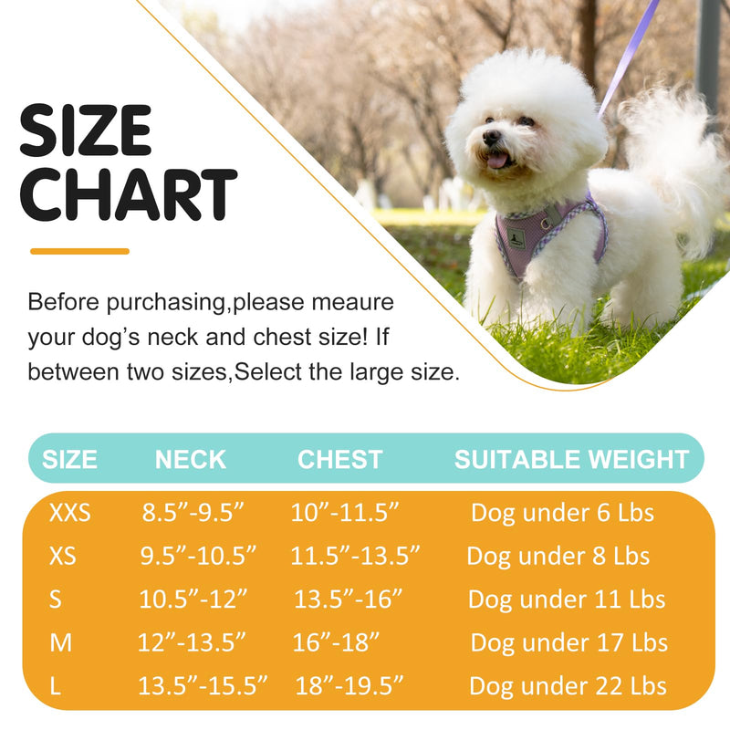 Dog Harness and Leash Set, No Pull Pet Harness for Small Dogs Easy Walking,Soft Breathable Small Dog Harness,Adjustable Reflective Step in Vest Harness for Puppy,Kitten, Cats Medium purple - PawsPlanet Australia