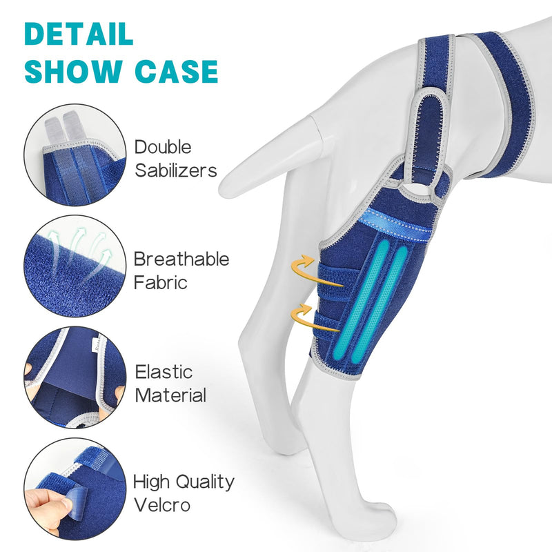 Dog Knee Brace for Torn ACL Hind Leg–Adjustable Support Dog Leg Brace for Back Leg with 2 Stabilizers, Hip Support to Reduces Pain Luxating Patella, Ligament Injuries, CCL (Blue, Left Leg, L)