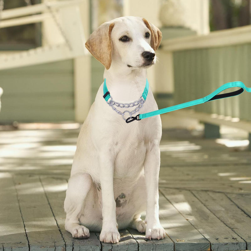 Martingale Dog Collar with Stainless Steel Chain and Leash Set, Martingale Collar with Reflective, 5FT Double Handle Dog Leash Padded, Adjustable for Medium Large Dogs (M, Teal) M - PawsPlanet Australia
