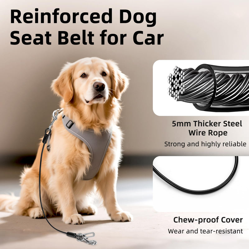 Dog Seat Belt for Car, 16" Chew-Proof Coated Wire Dog Car Leash Seat Belt, Dog Leash with Buckles and Latch, Safety Harness for Small, Medium, Large Dog or Cat, Travel, Black, 2 Pack 2 Pack Black 16 inch/40 CM - PawsPlanet Australia