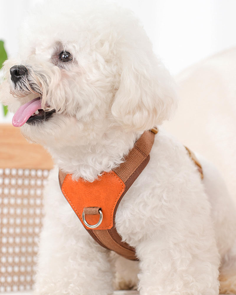Brown Small Dog Harness for Small Dogs, No Pull Dog Harness with 2 Leash Clips, Easy Walk Dog Harness Small Sized Dog, Puppy Harness for Small Dogs, Dog Vest Harness, puppia Dog Harness (Brown, S) Brown - PawsPlanet Australia