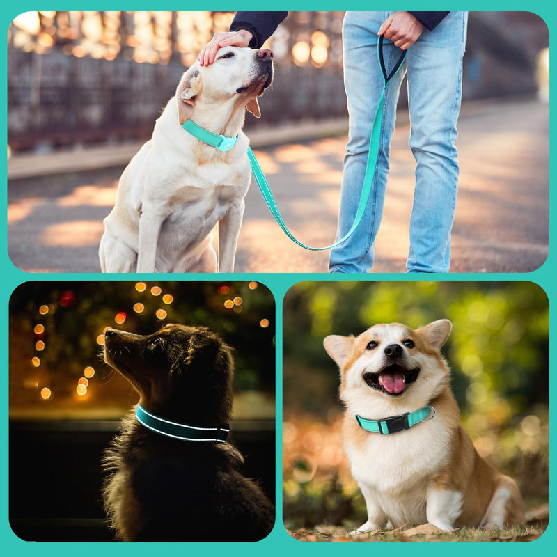 Kuley AirTag Dog Collar and Reflective Leash Set Bundle with Airtag Holder Case,Adjustable Padded Nylon Pet Collar for Small Medium Large Dogs(Teal, Small) Teal