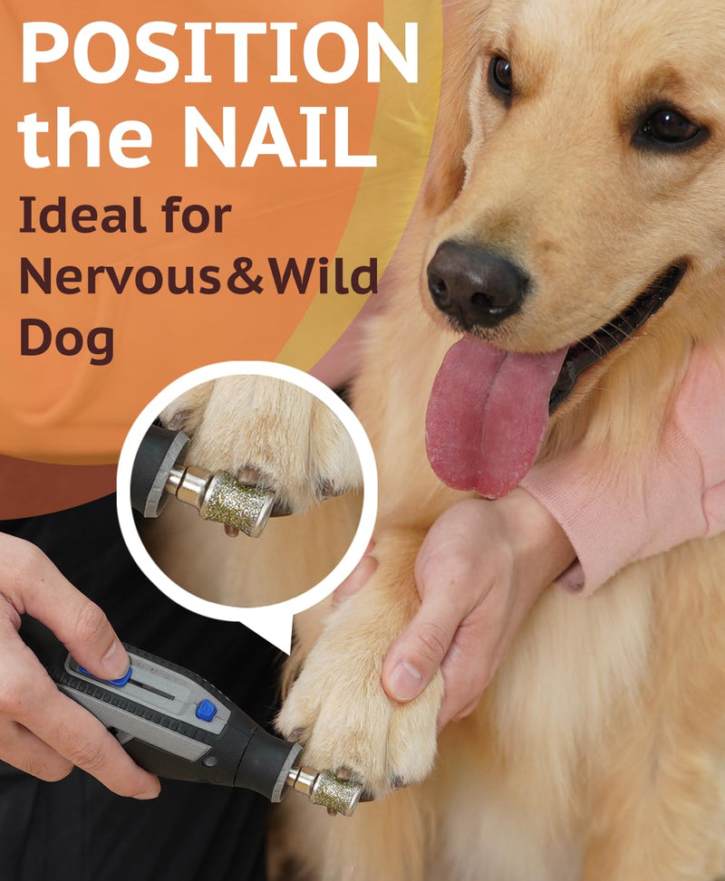 Diamond Dog Nail Grinder Attachment, Diamond Rotory Bit for Dogs&Pets Nail Care, Made for Dremel Grinder for Animals Nail Care & Home Grinder Tools, Retriever, Fast-grit - PawsPlanet Australia