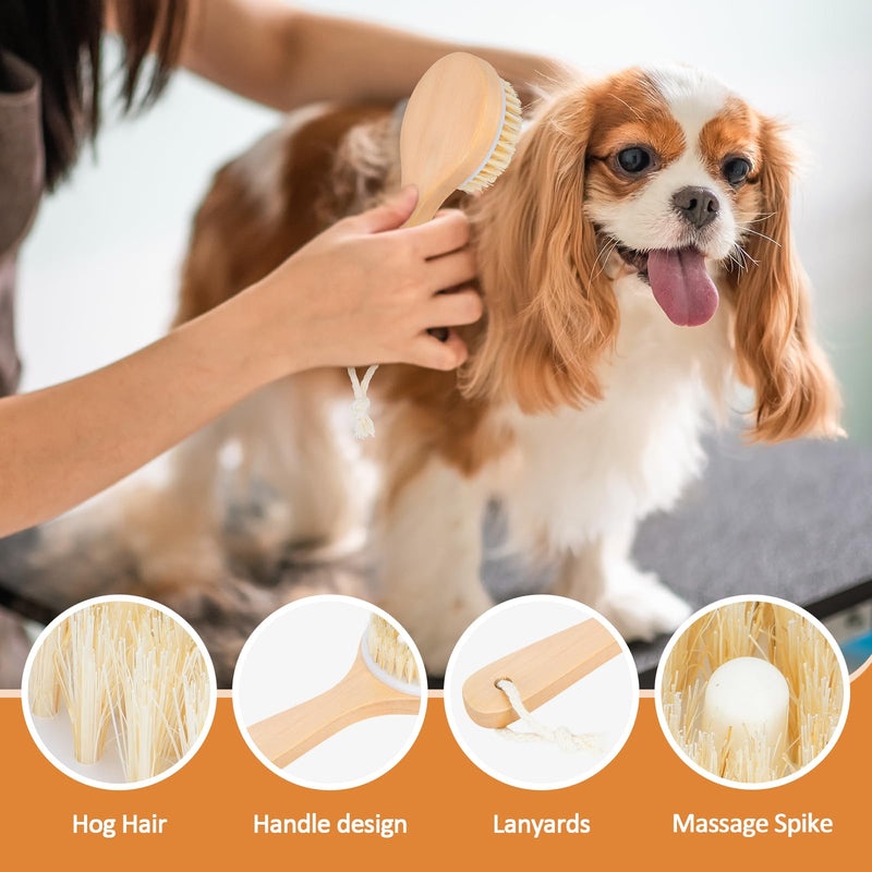 Dog Bath Brush Pet Shampoo Handle Bath Brush with Massage Points Dog Grooming/Washing/Massaging Wooden Brush Natural Bristle Dog Brush Removal Loos Hair for Cats Dogs - PawsPlanet Australia