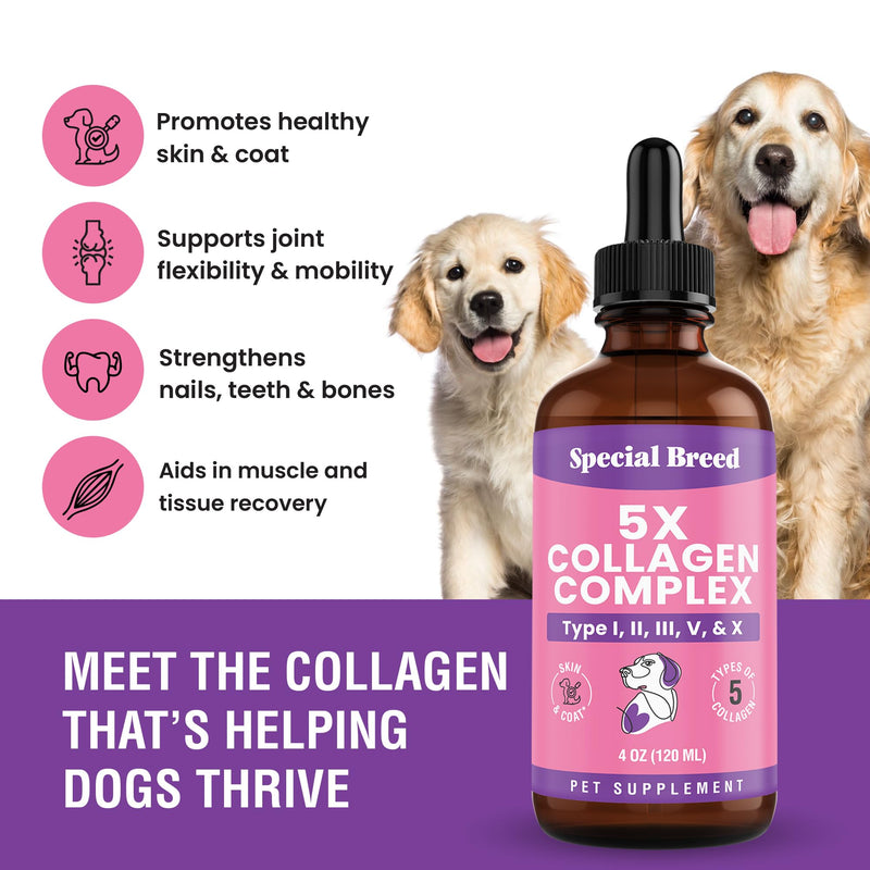 Premium Collagen for Dogs - Liquid Support for Joints, Skin, Coat, Bone, Immune System & HIPS - Collagen Supplement - Made in USA - 4oz 4 Ounce