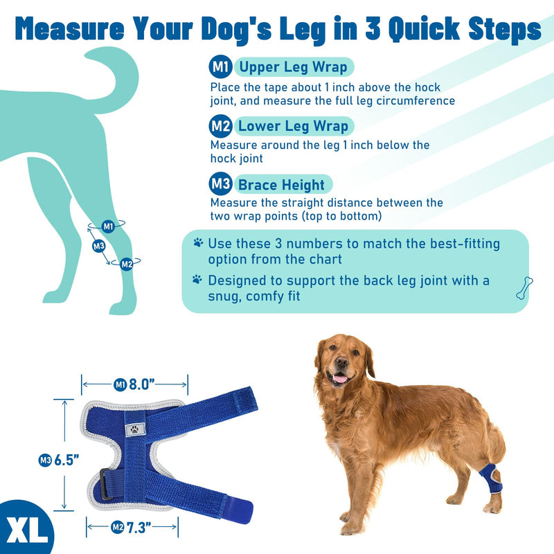 Dog Leg Braces for Back Leg- Hock and Ankle Joint Support Brace for Rear Legs with 2 Metal Strips, Reflective Edging for Sprain, Injury, Arthritis, Wound Recovery,Blue,XL