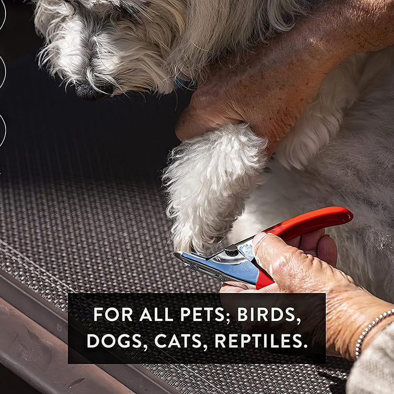 Pet Care Pedicure Kit for Dogs, Cats, Birds and Reptiles - Nail Clippers, File and Scissors Style Clippers Plus Case (3 Nail Clippers Plus Nail File) 3 Nail Clippers Plus Nail File - PawsPlanet Australia
