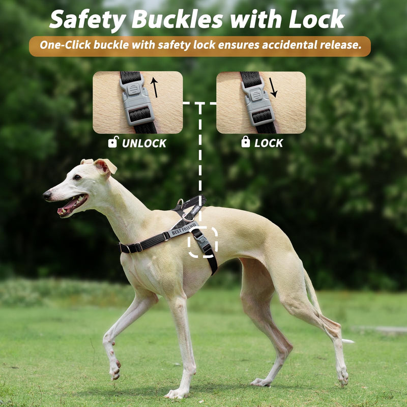 Easy Walk Dog Harness and Leash Set, Freedom No Pull Harness with 2 Patches,Escape Proof/Quick Fit to Adjust Dog Vest Harness,Easy for Training Walking for Small,Medium & Large Dogs(Black,M) Medium (Chest: 21.3-29") Black - PawsPlanet Australia