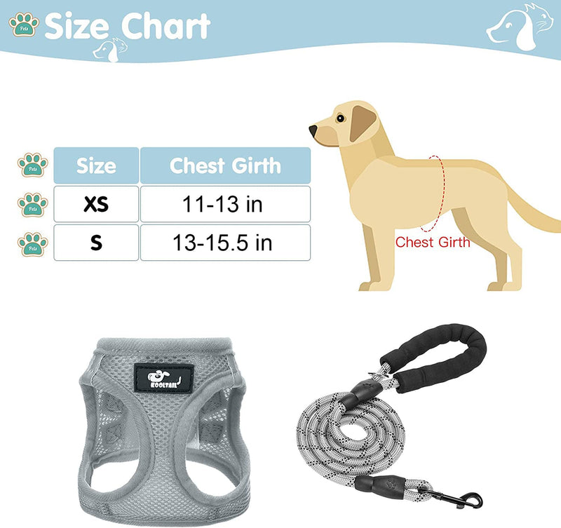 Breathable Air Mesh Dog Harness with Reflective Leash, Adjustable No Pull Step in Vest Harness for Small Dogs Puppies Cats, Grey, Small - PawsPlanet Australia