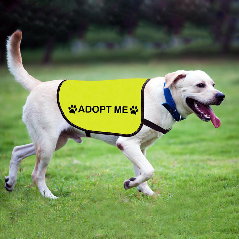 Rescue Dog Jacket Vest Adopt Me Dog Vest Foster Dog Slogan Vest (Adopt Me-Large) Adopt Me-Large - PawsPlanet Australia