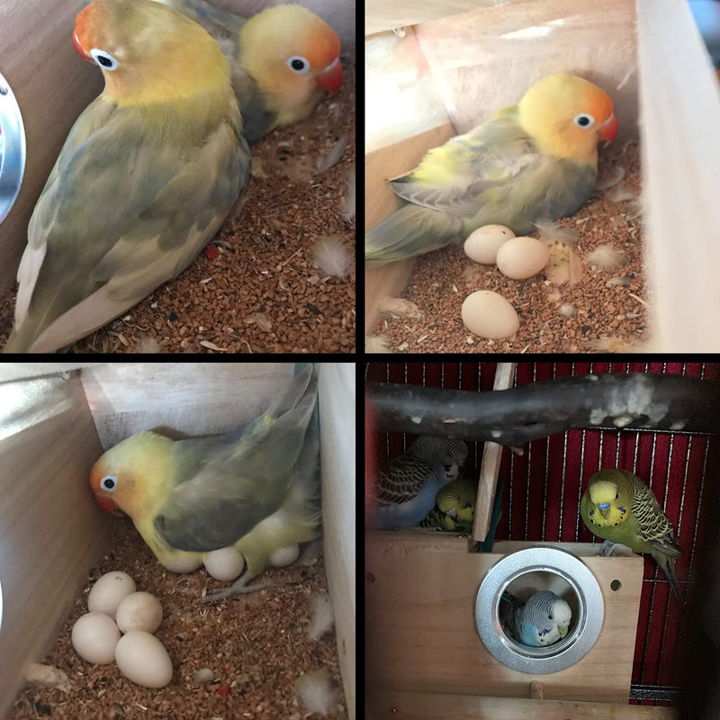 PINVNBY Parakeet Nesting Box Bird House Wood Breeding Box Parrots Mating Box for Lovebirds Budgie Finch Cockatoo Canary and Medium-Sized Birds(S) 【Wood】 Small - PawsPlanet Australia