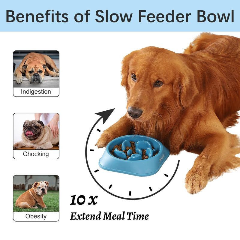 MateeyLife Slow Feeder Dog Bowls 2PCS, Anti-Choking Puzzle Dog Food Bowls, Anti-Slip Interactive Dog Feeding Bowls Slow Down Eating, Bloat Stop Maze Dog Dishes for All Breeds Pets LightBlue&DarkBlue Medium A-LightBlue&DarkBlue - PawsPlanet Australia
