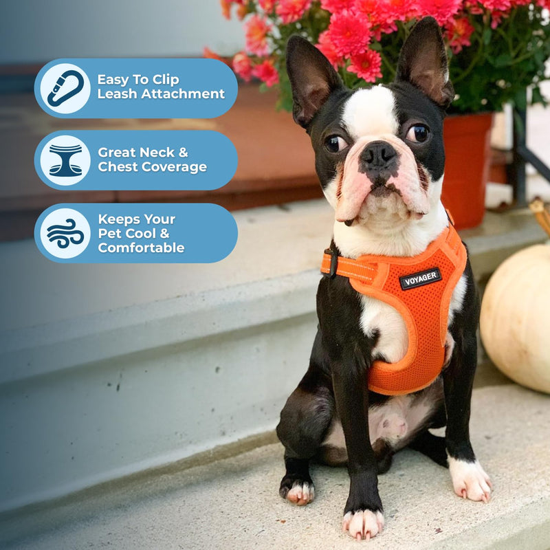 Best Pet Supplies Voyager Adjustable Dog Harness Leash Set with Reflective Stripes for Walking Heavy-Duty Full Body No Pull Vest with Leash D-Ring, Breathable All-Weather - Harness (Orange), S Harness Leash Set (Orange) Small