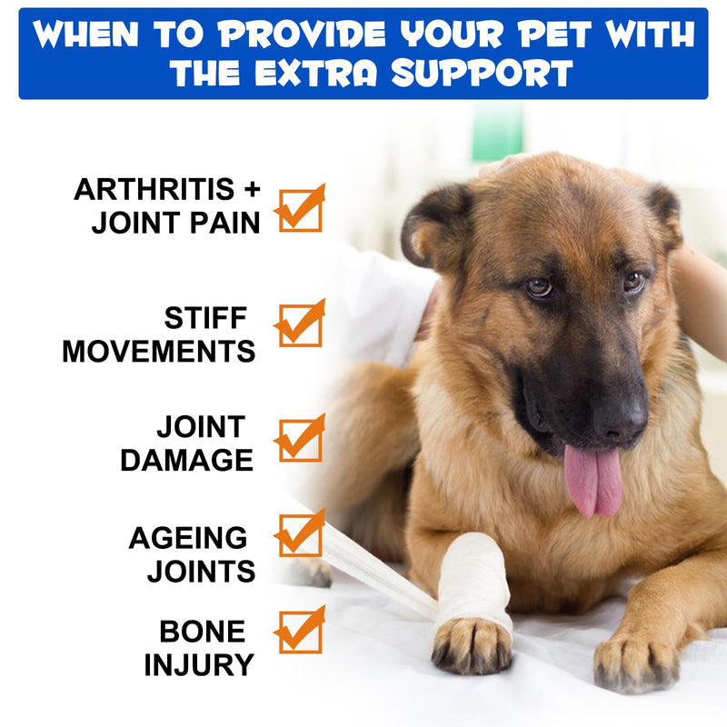 Dog Joint Supplement Liquid, Bacon Flavor Hip & Joint Glucosamine Drops for Dogs, Supports Joint Health, Dog Joint Pain Relief Treats Enhances Mobility, Joint Supplement for Dogs (60ml/2 fl.oz) - PawsPlanet Australia