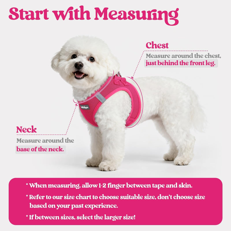 rabbitgoo Dog Harness Small Sized and Leash Set, Step in Soft Light Puppy Vest, Breathable Mesh Pet Harness, Reflective for Safe Easy Walking, Rose Red S S (Chest: 15.1 - 16.5") - PawsPlanet Australia