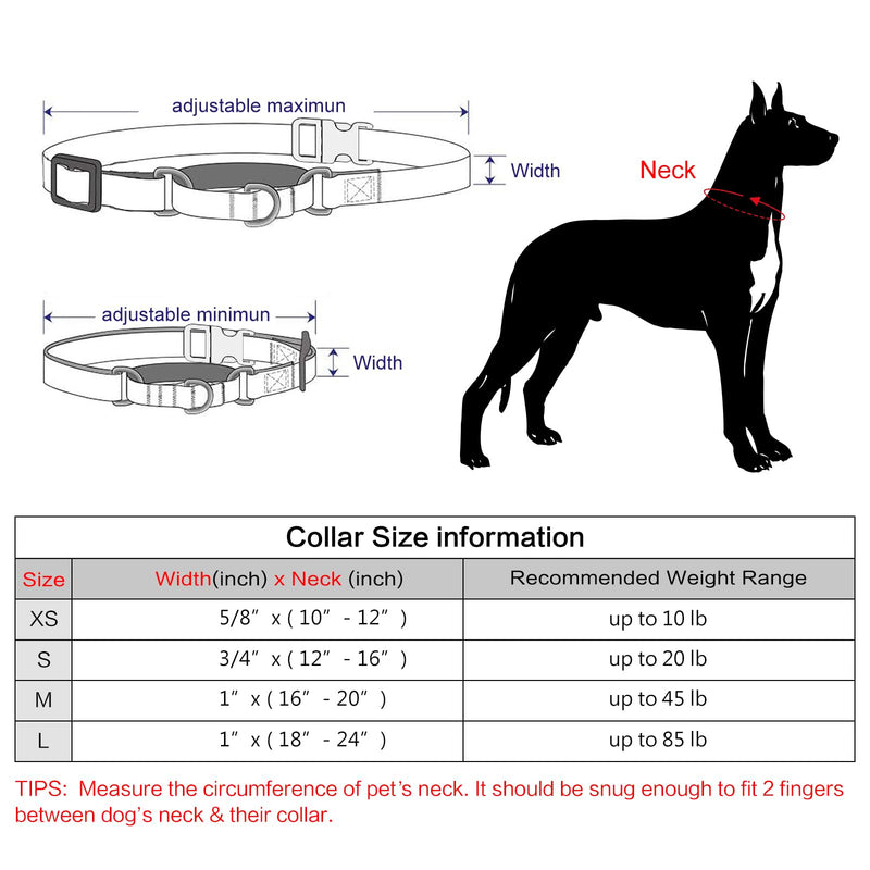 Plutus Pet Reflective Martingale Collar with Buckle - Durable and Adjustable Training Collar for No Pulling, Dog Choker Collar for Small Medium Large Dogs, Bright Green, M M:16"-20" - PawsPlanet Australia