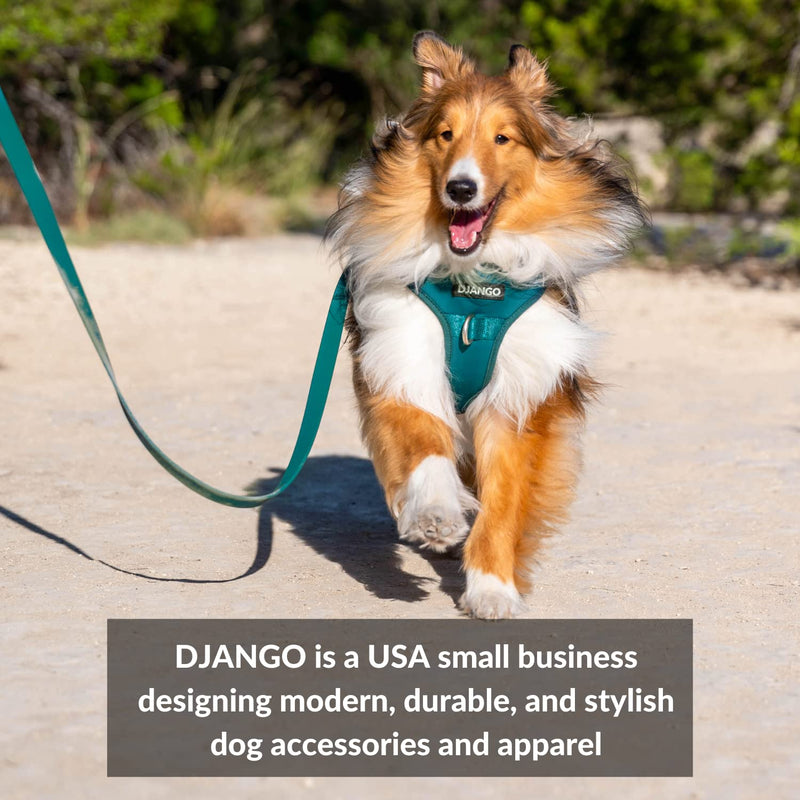 DJANGO Adventure Dog Leash – Strong, Comfortable, and Stylish Dog Leash with Solid Brass Hardware and Padded Handle - Designed for Outdoor Adventures and Everyday Use (Crimson Red) Crimson Red - PawsPlanet Australia