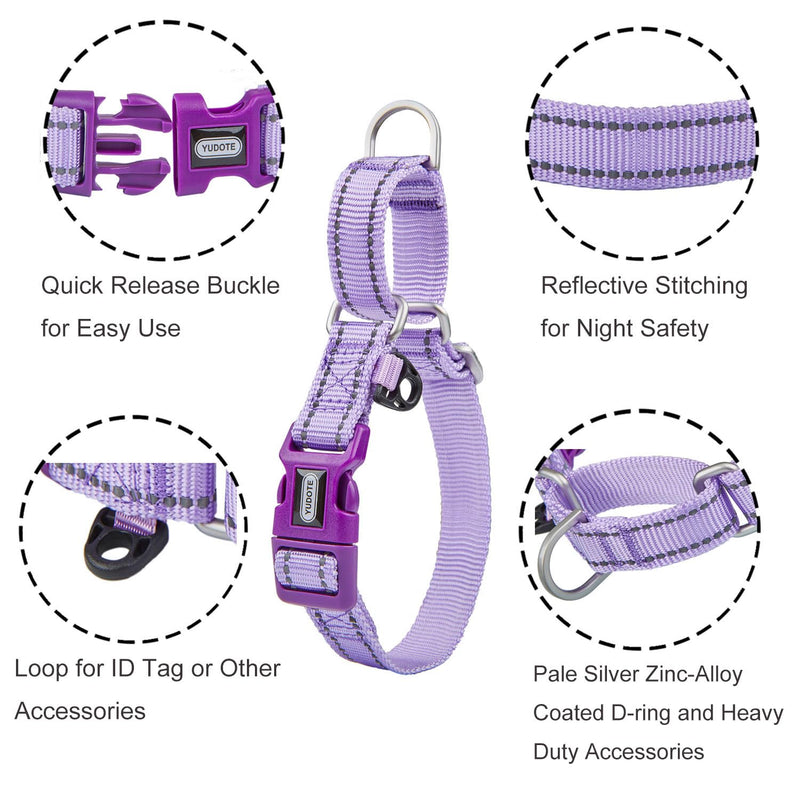 Reflective Martingale Collar for Dogs with Quick Snap Buckle Anti-Pull Nylon Safe Slip Collars for Easy Walking,Lilac,Small Small (Pack of 1) Lilac