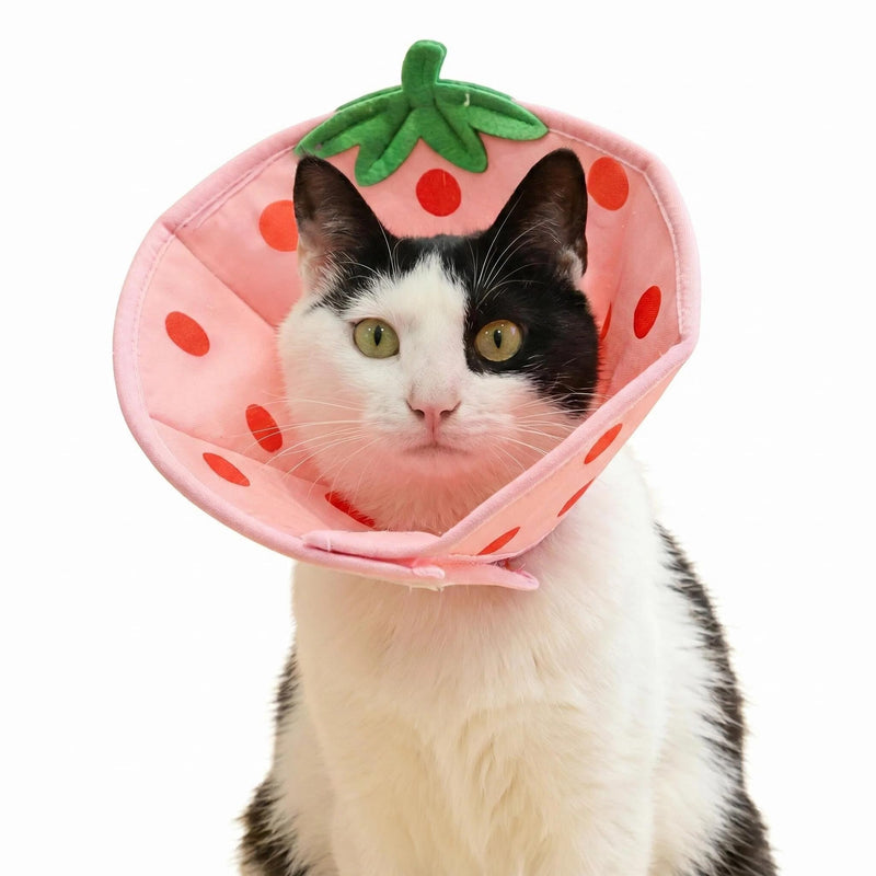 Cosiesnest Adjustable Elizabethan Cat Cone Collar to Stop Licking After Surgery Cat Recovery Collar Soft Cone, Waterproof Design with Folding Edges for Cats and Kittens - Strawberry (S)