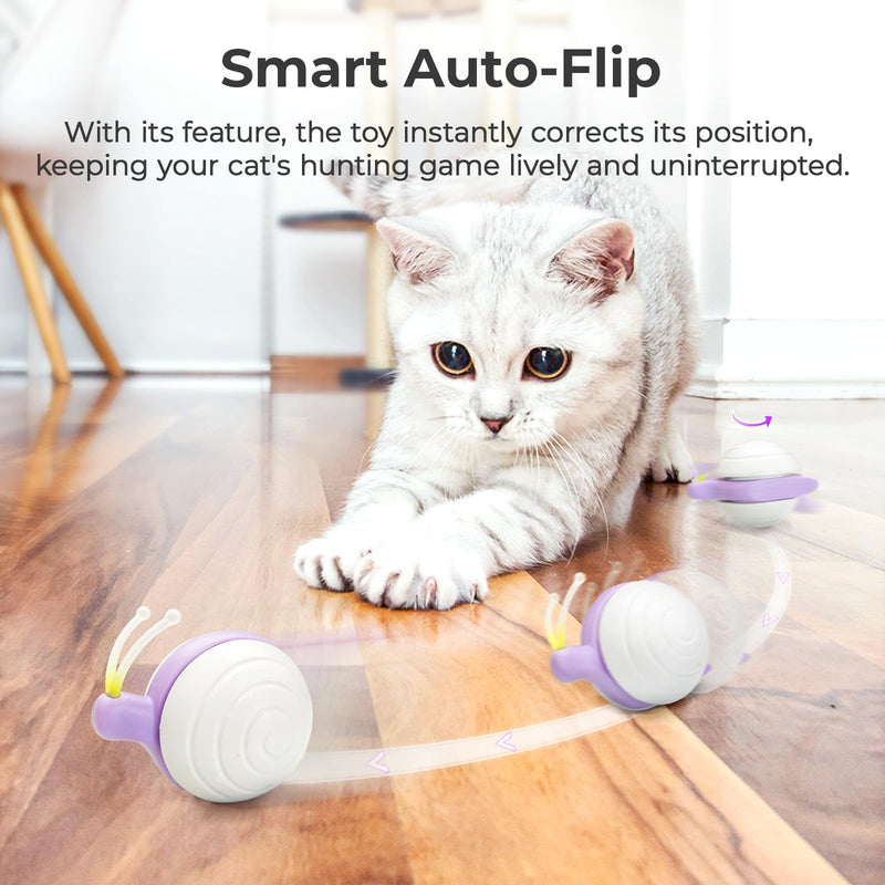 Cheerble Interactive Cat Toy for Indoor Cats, Wicked Snail [2024 Upgraded], Kitten Toys, Automatic Cat Toy with LED Lights, DC Rechargeable Moving Cat Toy, Smart Sensing Electric Cat Toy - PawsPlanet Australia