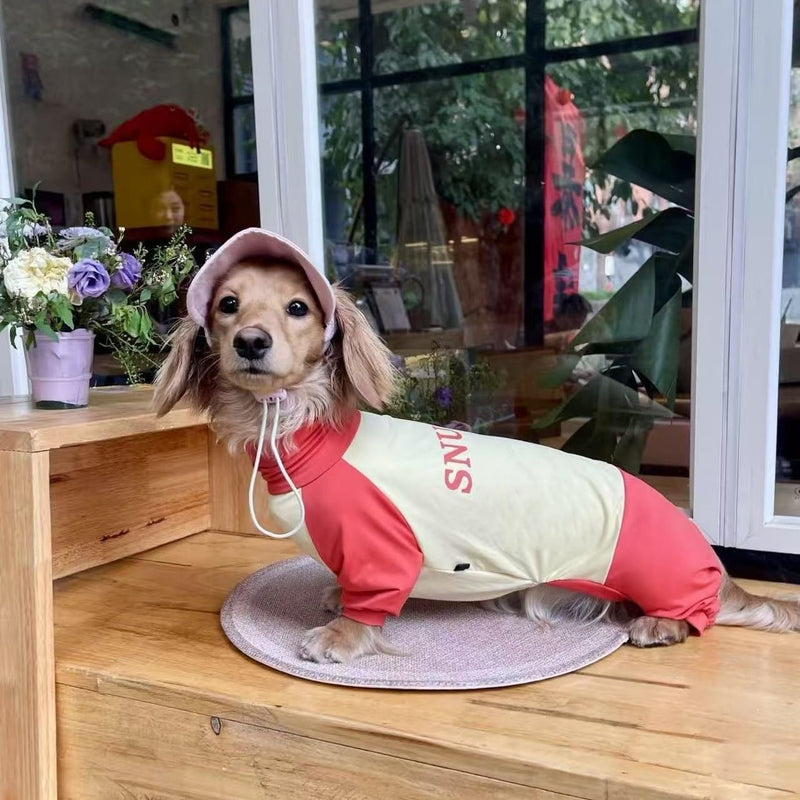 Dachshund Dog Cooling Summer Shirt, UPF50+ Four-Legged Sun Protection Clothes, Quick-Dry Summer Shirt for Dachshund and mini Dachshund (X-Small) X-Small - PawsPlanet Australia