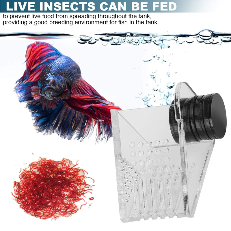 Aquarium Transparent Acrylic Feeding Container Fish Tank Cone Feeder with Magnetic Suction Fish‑Box Feeder for Aquarium Accessories - PawsPlanet Australia