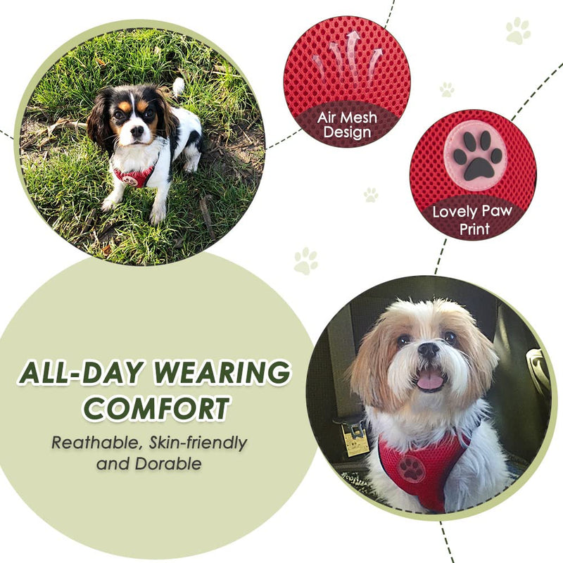 SlowTon Dog Seat Belt Harness for Car, Dog Car Harness Adjustable Mesh Breathable & Dog Seatbelt Safety Tether with Elastic Bungee for Small Medium Large Pets(Red, Double Clip, M) B-Red - PawsPlanet Australia