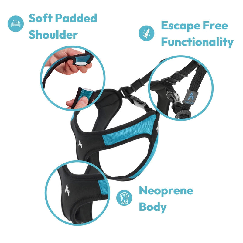 Gooby Escape Free Easy Fit Harness - Blue, Small - No Pull Step-in Patented Dog Harness with Quick Release Buckle for Small to Medium Dogs Small chest (16~19.25")