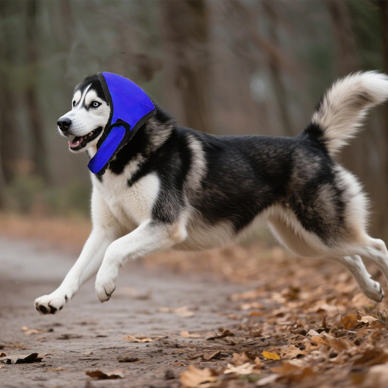 Happy Hoodie for Dogs, Dog Ear Defenders, Blue Dog Ear Protectors for Noise Relief, Calming Pet Ear Covers for, Fireworks, Grooming, Bathing, Swimming, Vet Visits, Travel