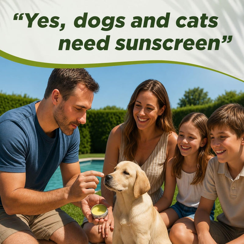 Sit Stay Forever Organic Sunscreen for Dogs and Cats, Dog Sunscreen, Dog Beach Essentials, Pet Sunscreen Cream for Dogs, Zinc Free, Dog Sun Protection, Dog Sunblock, Cat Sunscreen Made in USA, 2 oz