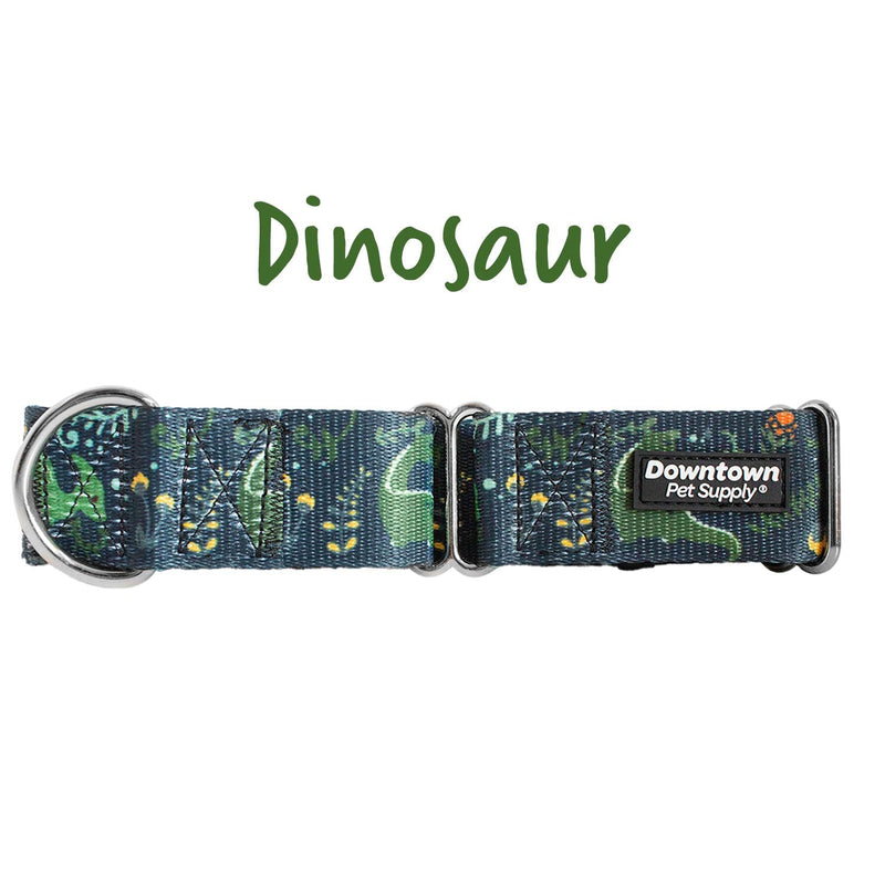 Downtown Pet Supply - Martingale Collar for Dogs - Dog Training Collar - Big, Wide & Thick Dog Collar - Escape-Proof, Weatherproof, Durable and Comfortable - Dino - Extra Large Dog Collar X-Large: 18.5"-34 - PawsPlanet Australia