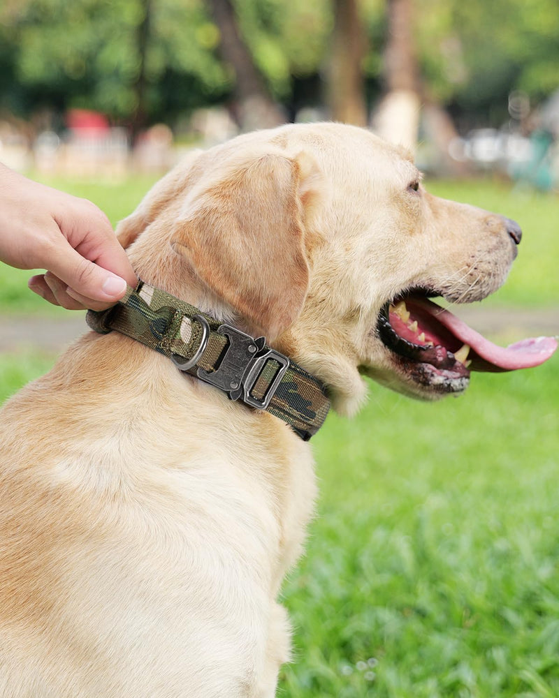 Joytale Tactical Dog Collar(17"-21") and Dog Leash Set, Shock Absorbing Bungee Dog Leash and Adjustable Strong Dog Collar with Handle for Large Dogs(Camouflage, L) - PawsPlanet Australia