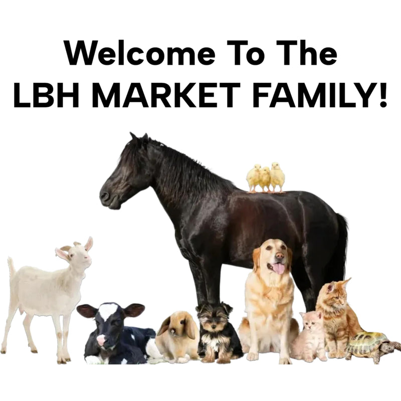LBH Market Tube Feeding Kit for Puppies Kittens Includes Kendall Puppy Feeding Tube 5 French and 12 Ml Syringe for Fading Puppy Support Whelping Kit or Baby Kitten Supplies (5 FR) - PawsPlanet Australia