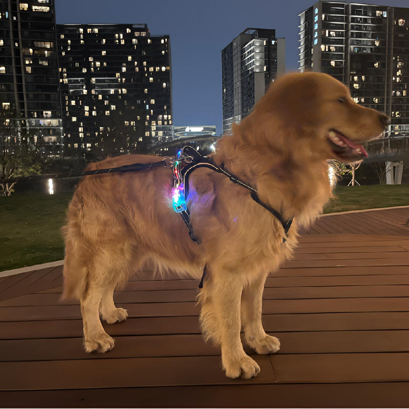Light Up Dog Harness - No Pull LED Dog Harness Rechargeable Waterproof,for Night Walking Adjustable Glow Up Dog Vest,for Large Dogs(Black-XL) XL Black - PawsPlanet Australia