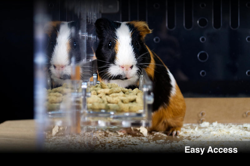 GuineaLoft™ Food Feeder - Say Goodbye to Traditional Bowls! The Ultimate Feeder for Small Pets like Guinea Pigs, Rabbits and Chinchillas. Designed & Made by Seasoned Owners - Guinea Loft Exclusive - PawsPlanet Australia