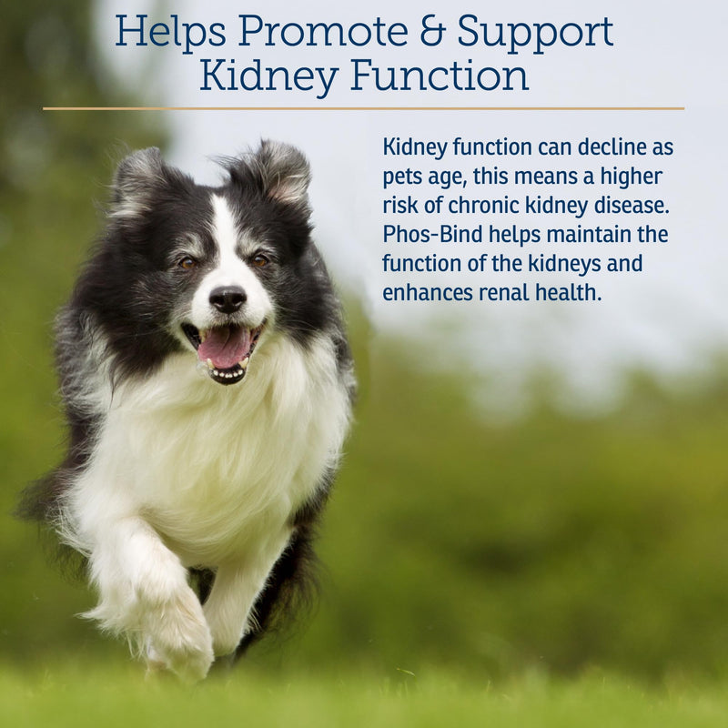Rx Vitamins Phos-Bind - Kidney Support Supplement Powder - Phosphate Binder for Cats & Dogs for Kidney Health - Supports Normal Kidney Cleanse and Essential Kidney Care - 200g - PawsPlanet Australia