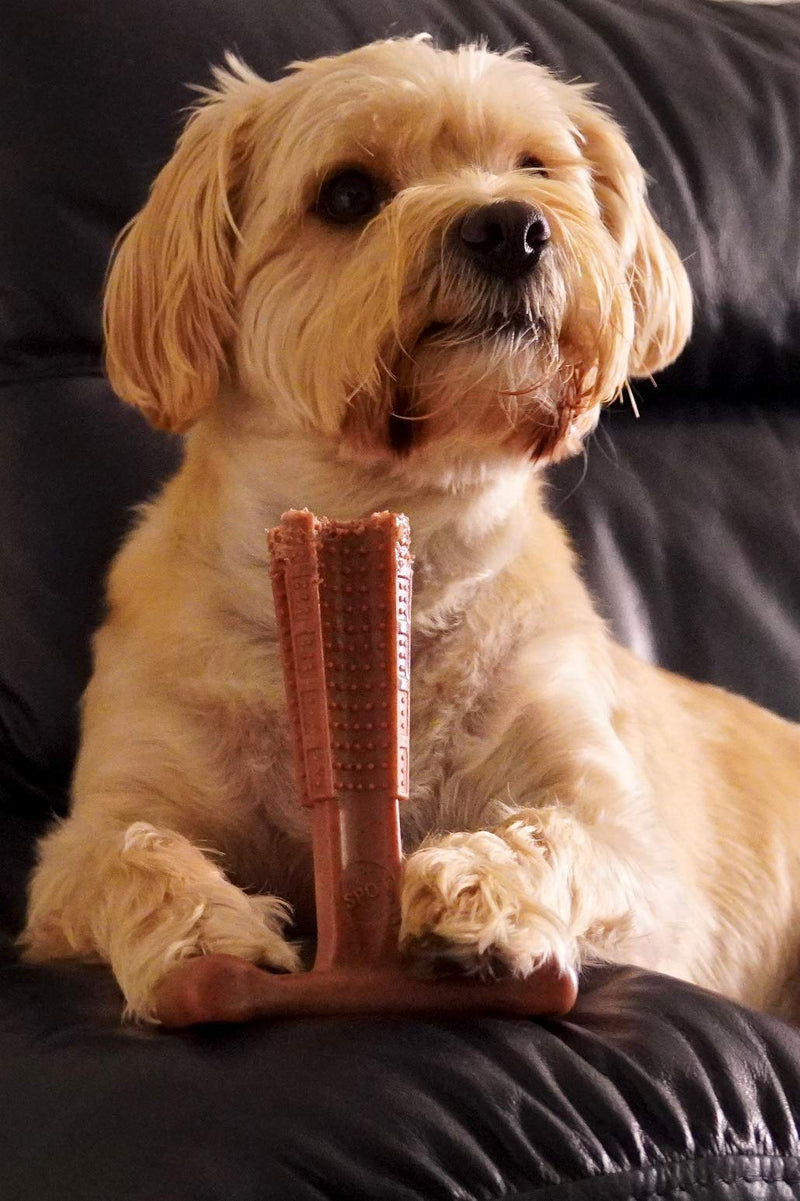 Bamboodles Large Dog Chew toy - Peanut Butter flavour - PawsPlanet Australia