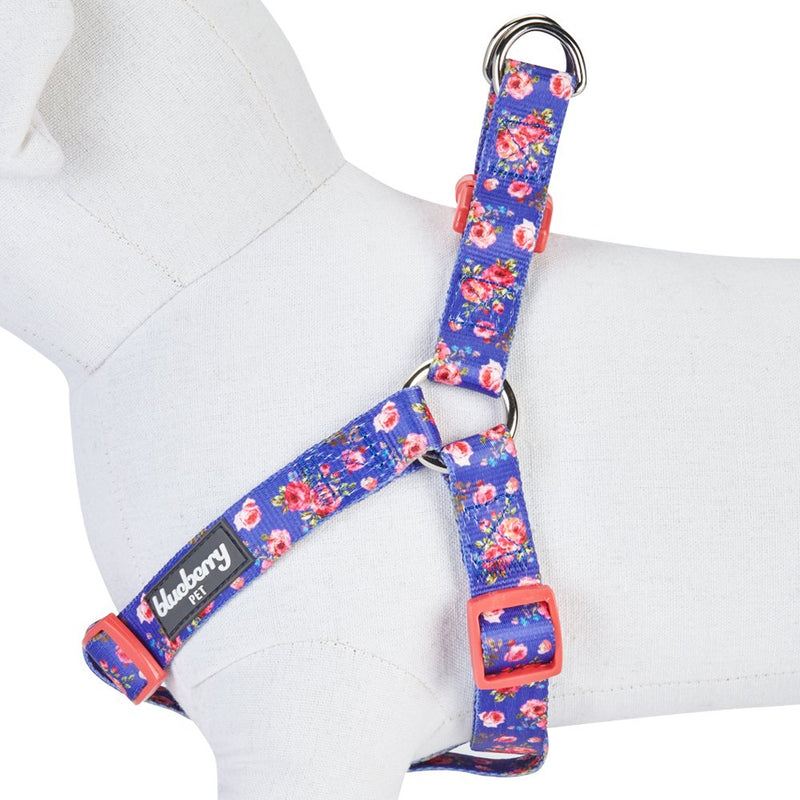 Blueberry Pet 9 Patterns Step-in Spring Scent Inspired Rose Print Irish Blue Dog Harness, Chest Girth 16.5" - 21.5", Small, Adjustable Harnesses for Dogs - PawsPlanet Australia