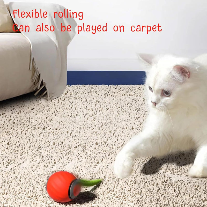 Speedy Tail 2.0 Cat Toy, 2025 New Speedy Tail Cat Toy, Interactive Cat Ball Toy, USB Rechargeable Smart Cat Toys Ball, Two Speed Adjustment, with Replacement Tail (Orange) Red - PawsPlanet Australia