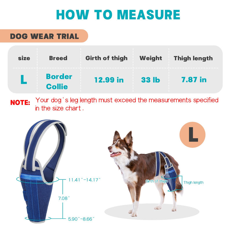 Dog Knee Brace for Torn ACL Hind Leg–Adjustable Support Dog Leg Brace for Back Leg with 2 Stabilizers, Hip Support to Reduces Pain Luxating Patella, Ligament Injuries, CCL (Blue, Left Leg, L)