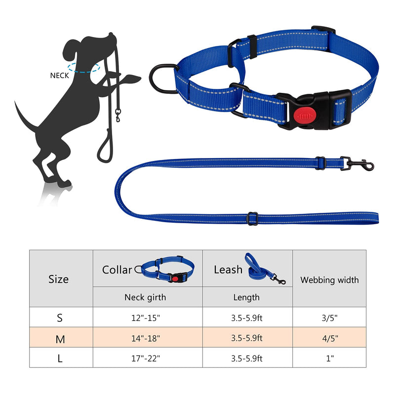Martingale Dog Collar and Leash Set Martingale Collars for Dogs Reflective Martingale Collar for Small Medium Large Dogs(Blue&M) Blue - PawsPlanet Australia