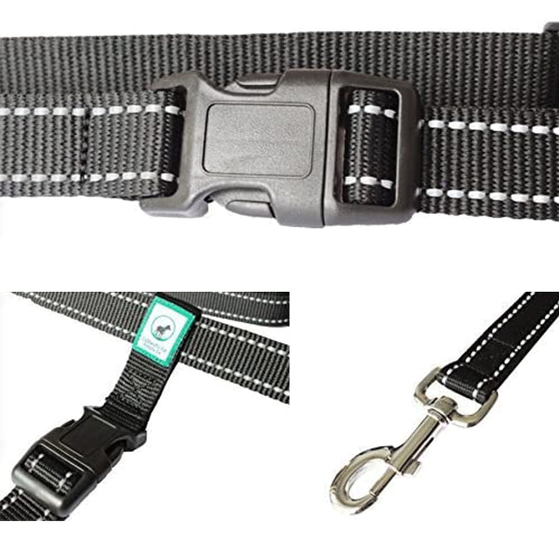 Running Leash for Dogs - Hands Free Dog Leash for Training, Hiking & Walking - Non Bungee for More Control - Around The Waist Dog Leash Belt for Small Medium or Large Dogs - PawsPlanet Australia