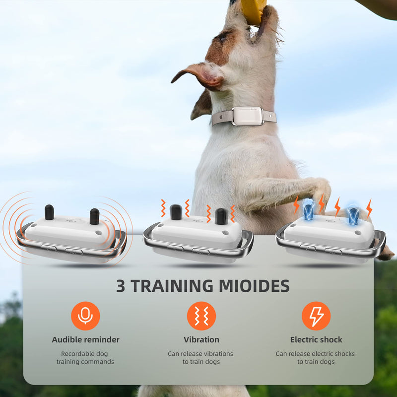 Recording Dog Shock Collar Waterproof Rechargeable E-Collar for Dogs with 16 Levels Beep Vibration Shock Electric Dog Training Collar with Remote - PawsPlanet Australia