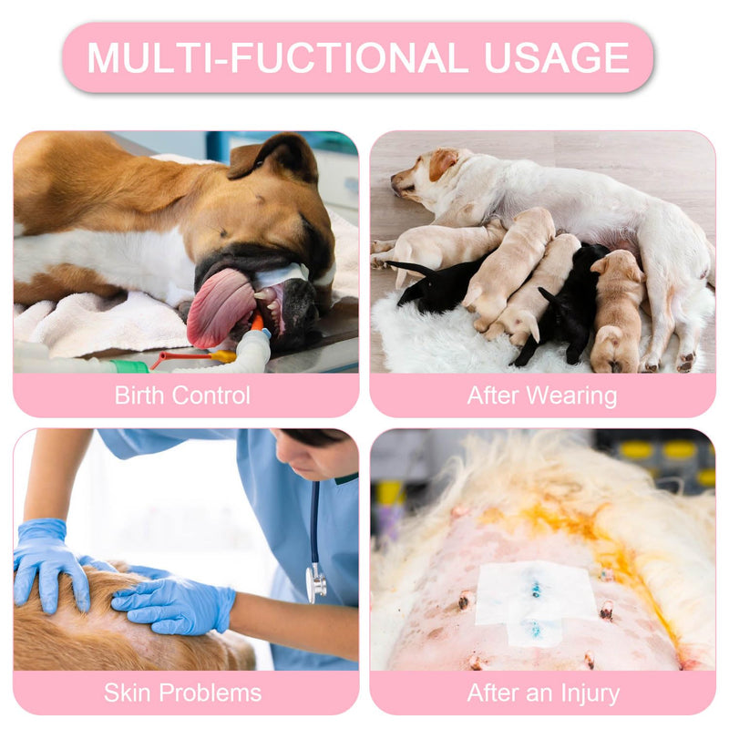 Dog Surgery Recovery Suit Pet Surgical Onesie After Surgery Wear for Female Male Dog Recovery Collar Alternative Love/Flower/Medium Medium Love/Flower-Zipper - PawsPlanet Australia