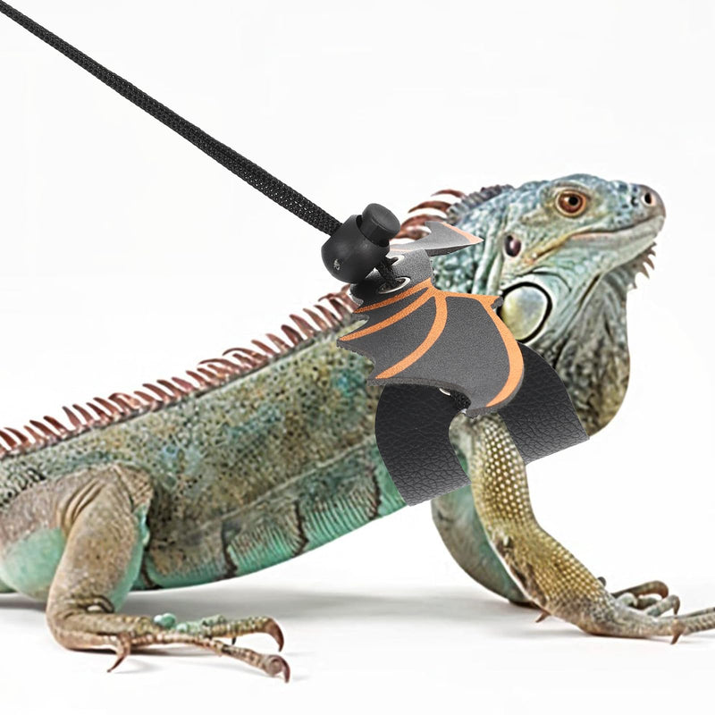 2 Set Bearded Dragon Leash and Harness Set,3 Sizes Detachable Adjustable Bearded Dragon Harness for Reptile Safety Walking Accessories(Black,Pink) - PawsPlanet Australia