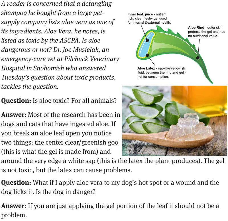 WildWash Cat Shampoo 300ml - Safe for Sensitive Skin No Harsh Chemicals Made with Natural Ingredients Suitable for All Coat Types